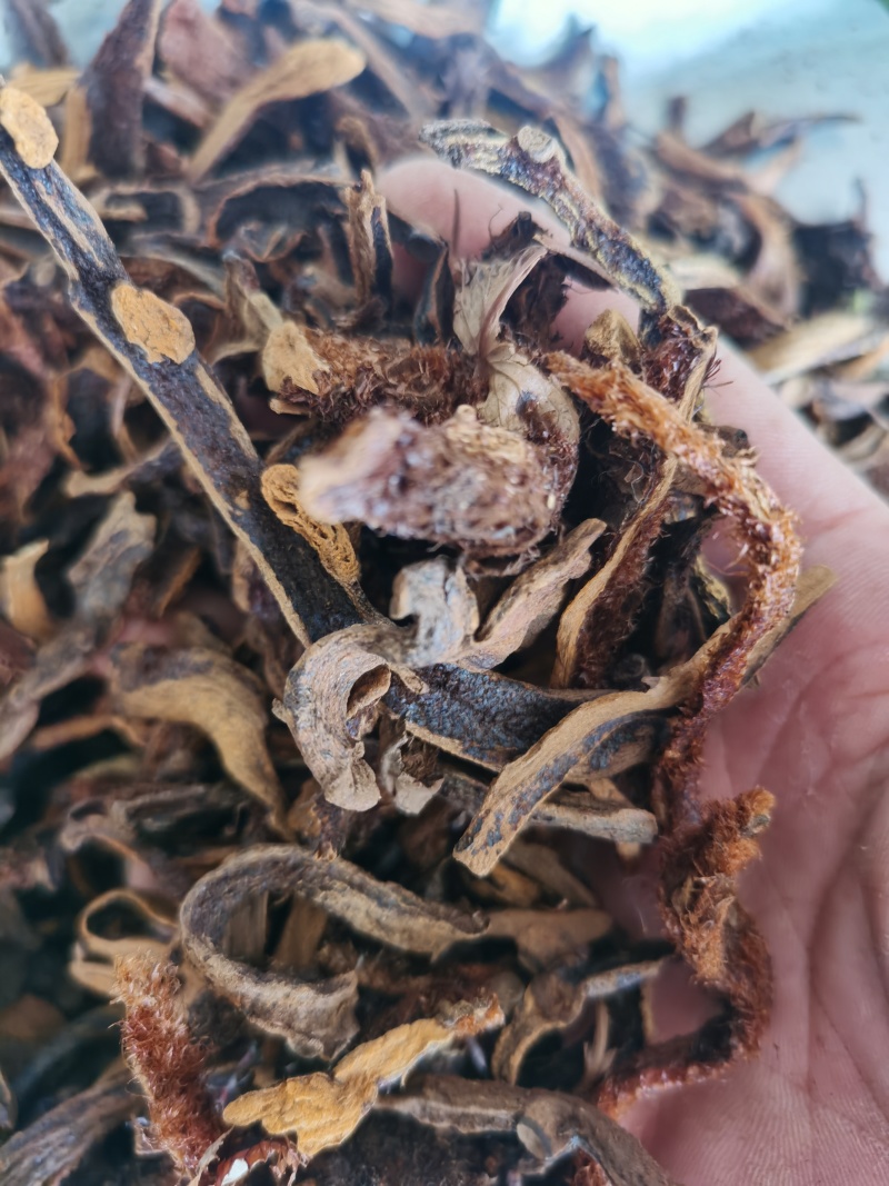 骨碎补正品骨碎补毛姜24小时发货