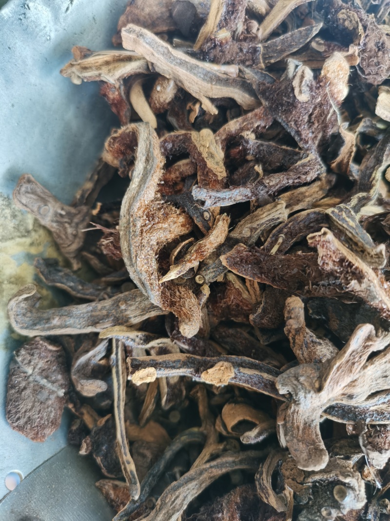 骨碎补正品骨碎补毛姜24小时发货