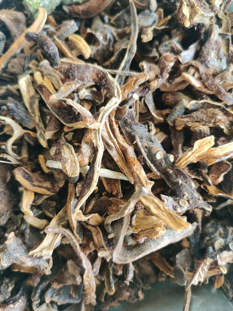骨碎补正品骨碎补毛姜24小时发货