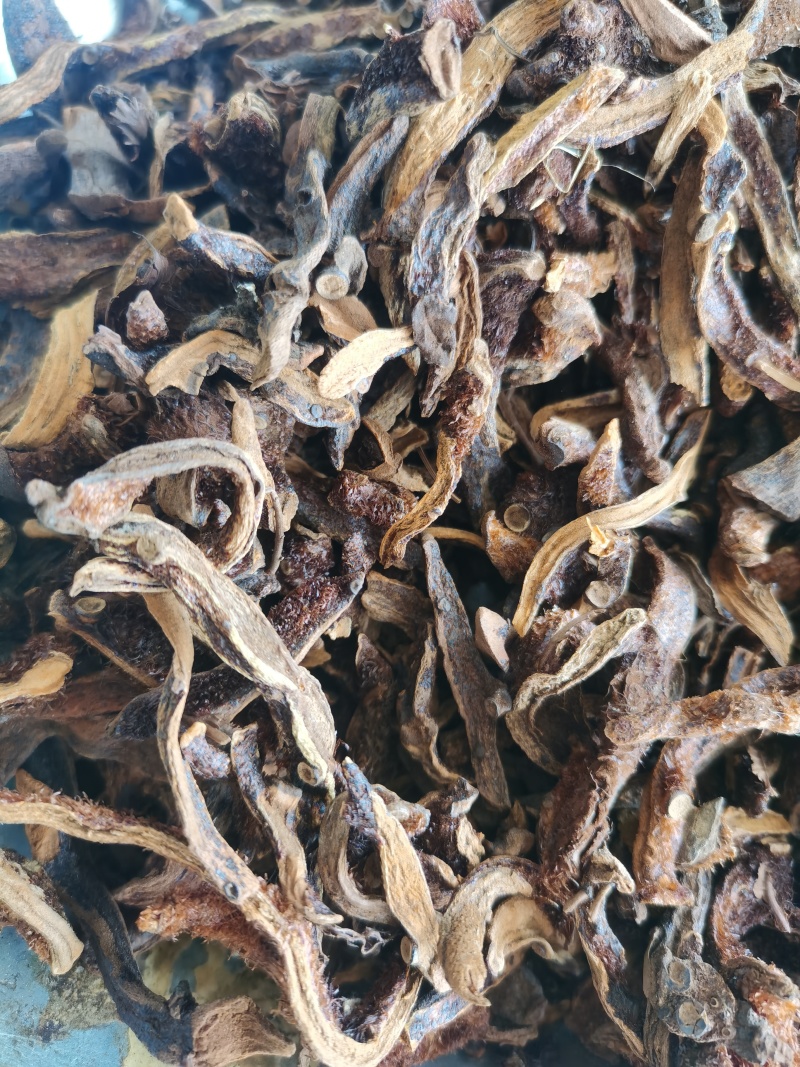 骨碎补正品骨碎补毛姜24小时发货