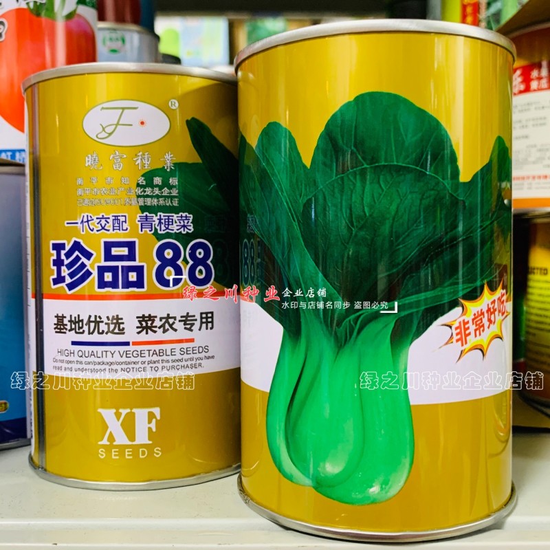 珍品88青梗菜种子耐热耐寒四季小青菜种籽基地优选小油菜种