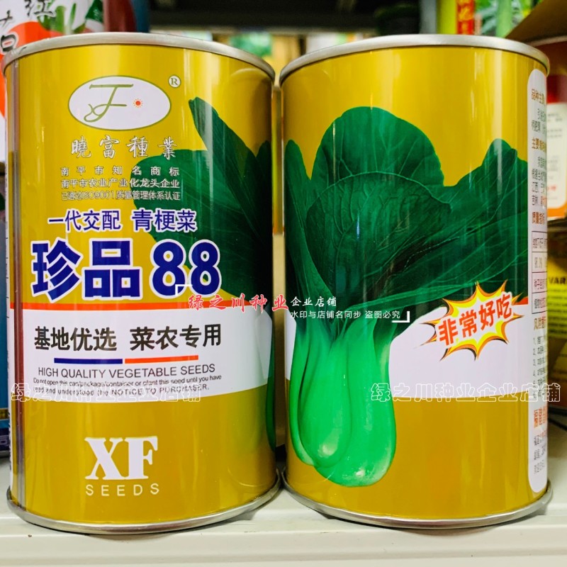 珍品88青梗菜种子耐热耐寒四季小青菜种籽基地优选小油菜种