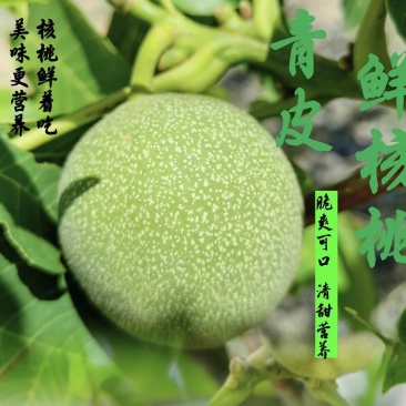 山西青皮核桃礼品二号50起步有货，想要的联系