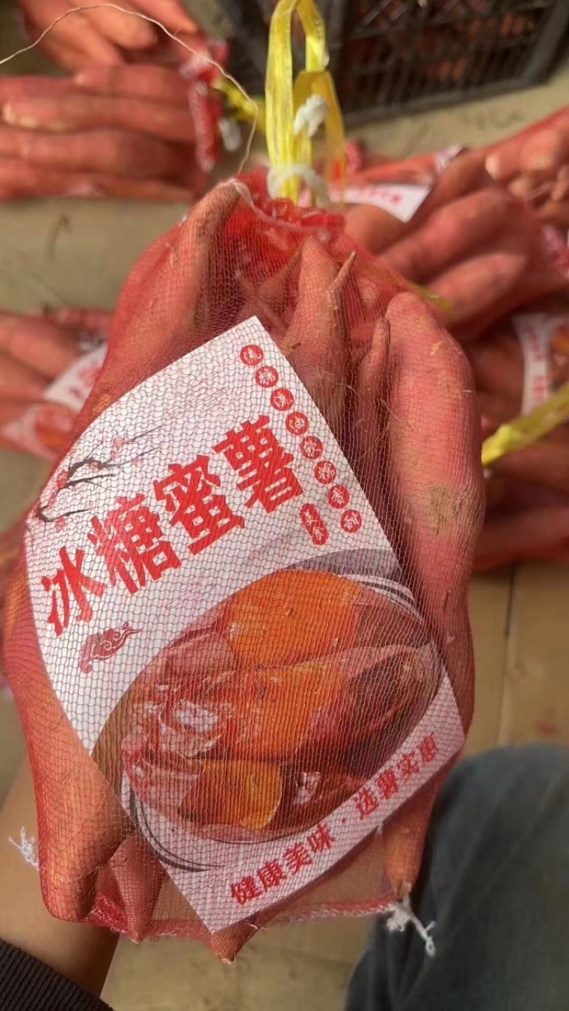 龙薯九红薯，产地直发价优，口感好糖高可看货欢迎