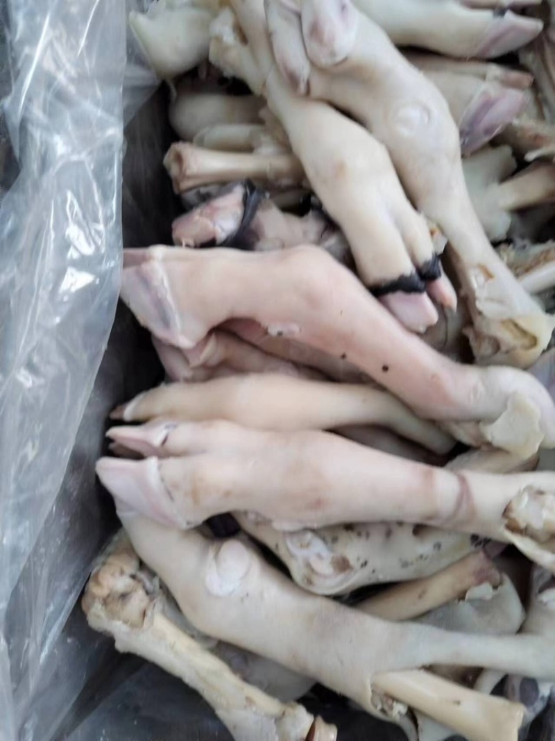 羊蹄量大质优价格优惠一手货源欢迎咨询采购