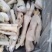 羊蹄量大质优价格优惠一手货源欢迎咨询采购