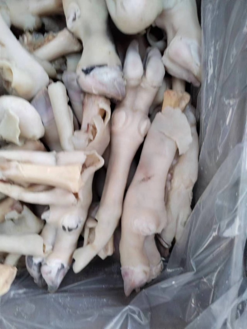 羊蹄量大质优价格优惠一手货源欢迎咨询采购