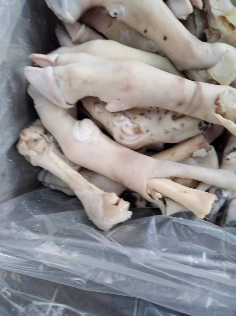 羊蹄量大质优价格优惠一手货源欢迎咨询采购