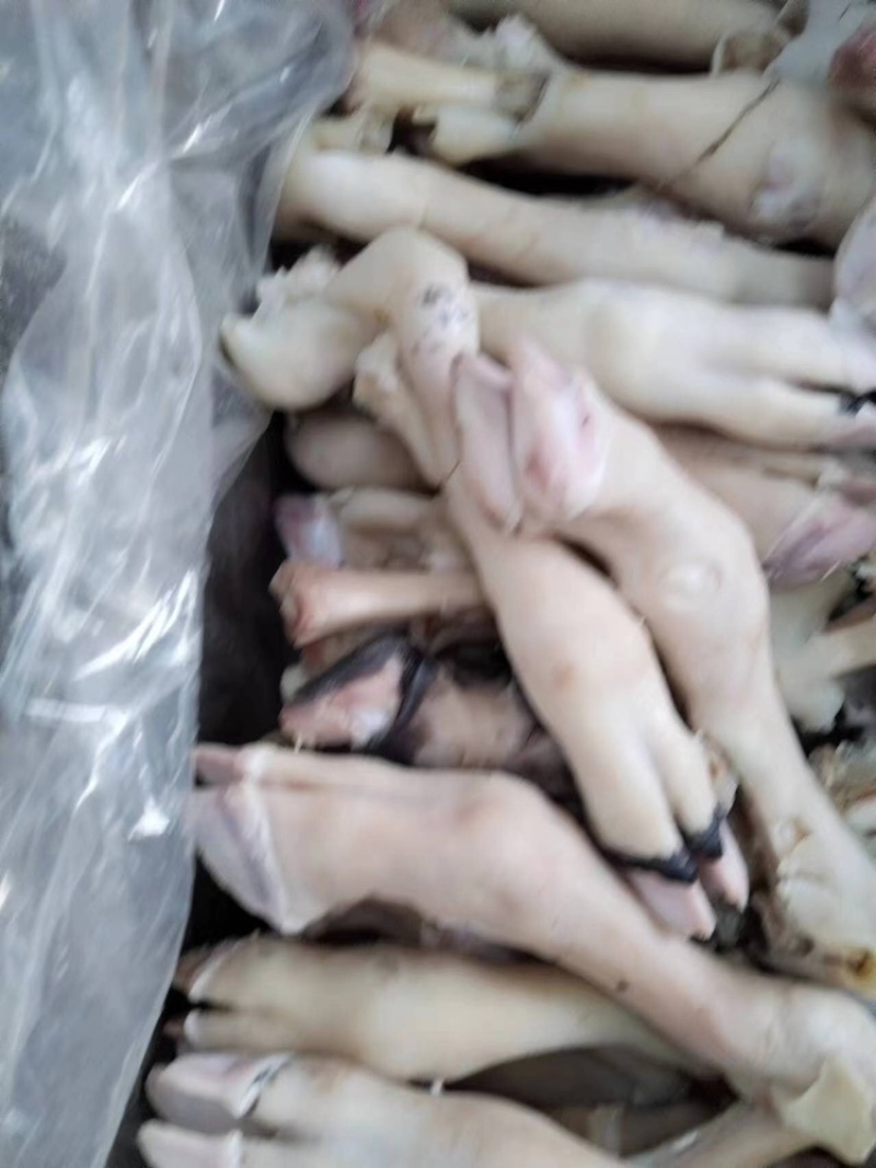 羊蹄量大质优价格优惠一手货源欢迎咨询采购