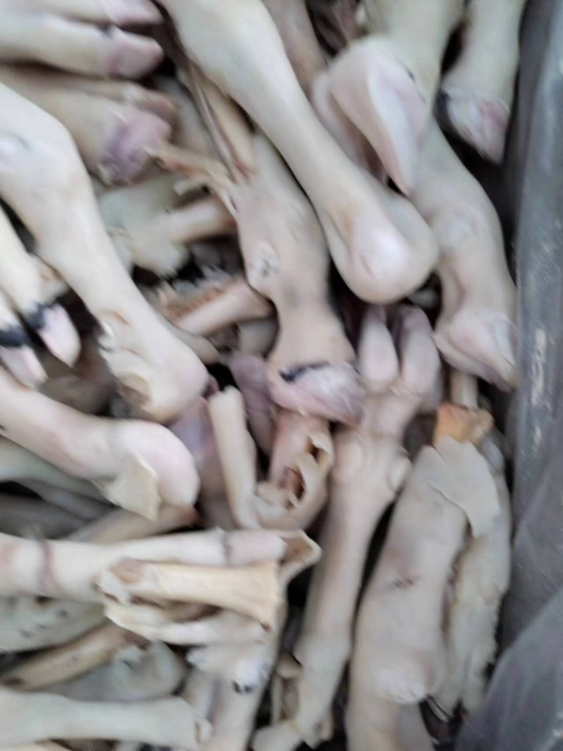 羊蹄量大质优价格优惠一手货源欢迎咨询采购