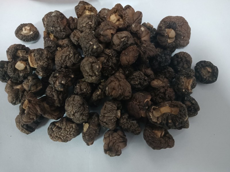 【优选】农产品香菇精品干香菇品质保证货源充足
