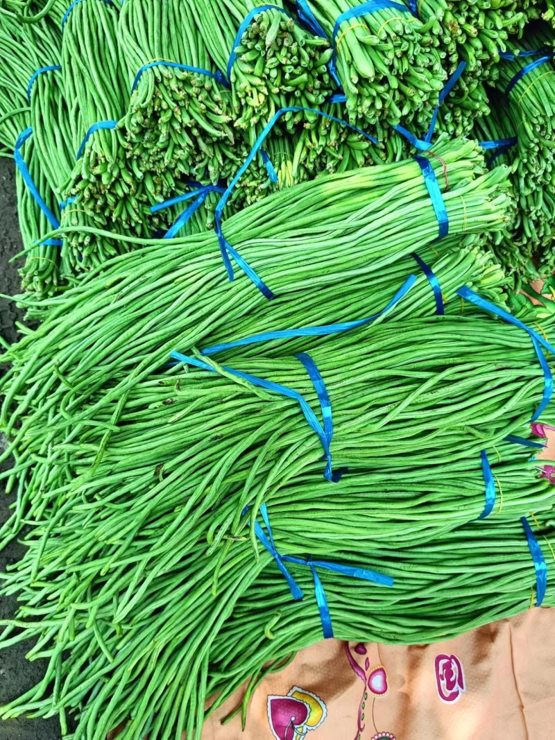 豆角长豆角基地直发货量大价格便宜质量保障运输便利欢迎联系