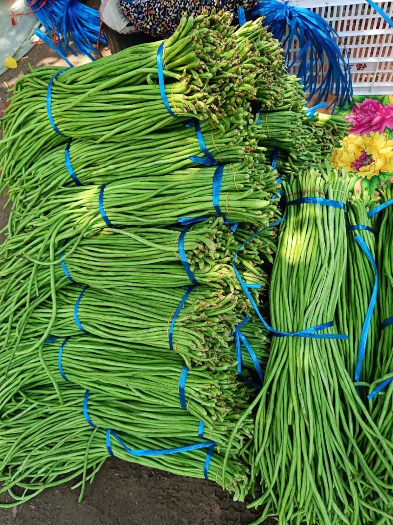 豆角长豆角基地直发货量大价格便宜质量保障运输便利欢迎联系