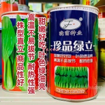 珍品绿立青梗菜种子耐热耐湿绿油亮小青菜种籽四季小油菜种子