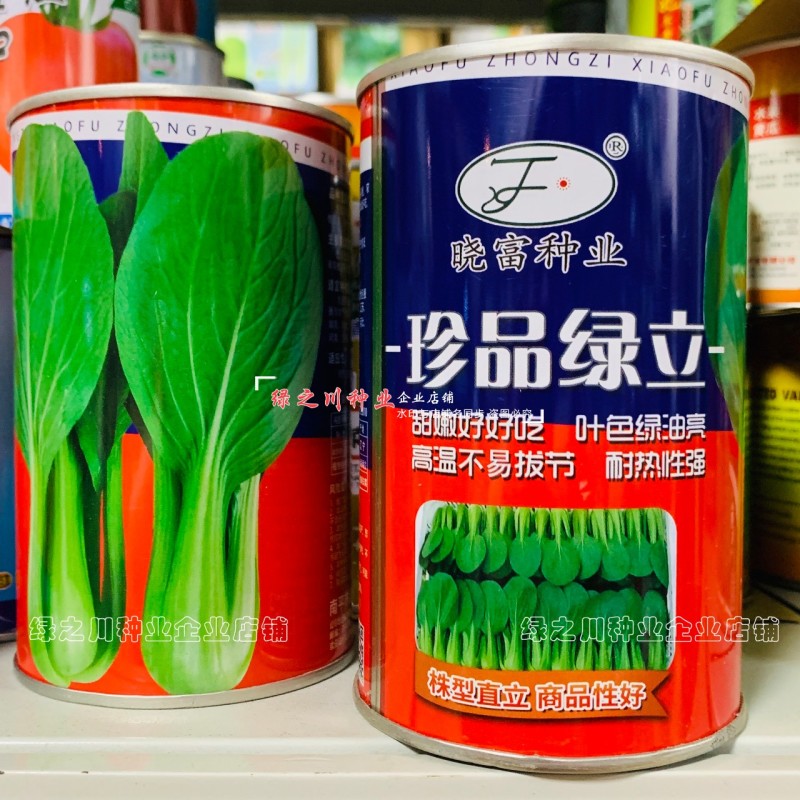 珍品绿立青梗菜种子耐热耐湿绿油亮小青菜种籽四季小油菜种子