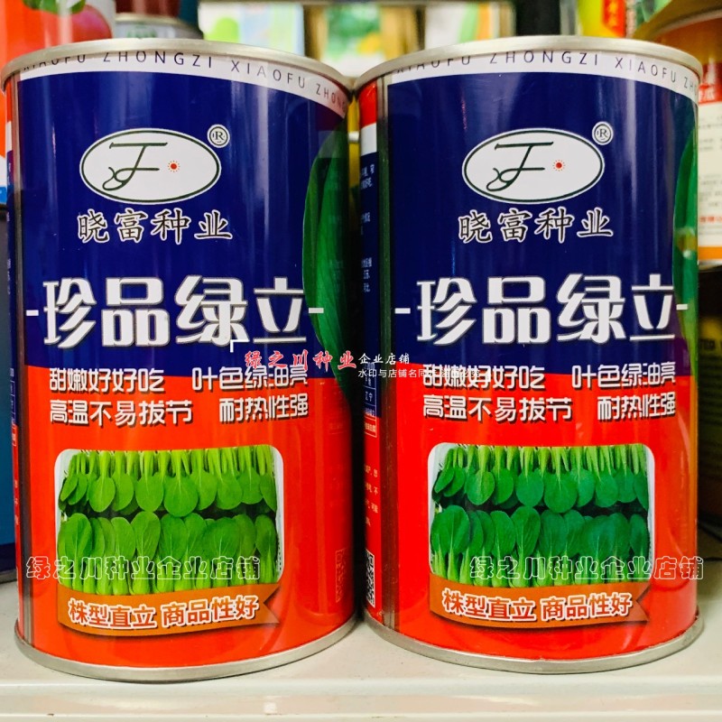 珍品绿立青梗菜种子耐热耐湿绿油亮小青菜种籽四季小油菜种子
