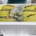 山东博洋61甜瓜品质好甜度高支持电商团购批发