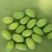 自家种植的莲蓬上市了，需要的联系我。