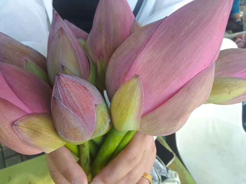 自家种植的莲蓬上市了，需要的联系我。