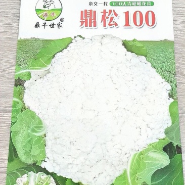 花菜种子鼎松100鼎牛种业青梗松花球大雪白囗感脆嫩