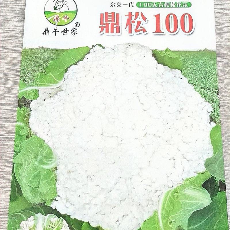 花菜种子鼎松100鼎牛种业青梗松花球大雪白囗感脆嫩
