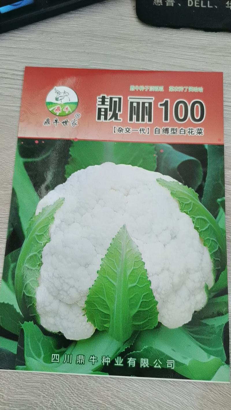 花菜种子鼎松100鼎牛种业青梗松花球大雪白囗感脆嫩