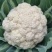 花菜种子鼎松100鼎牛种业青梗松花球大雪白囗感脆嫩