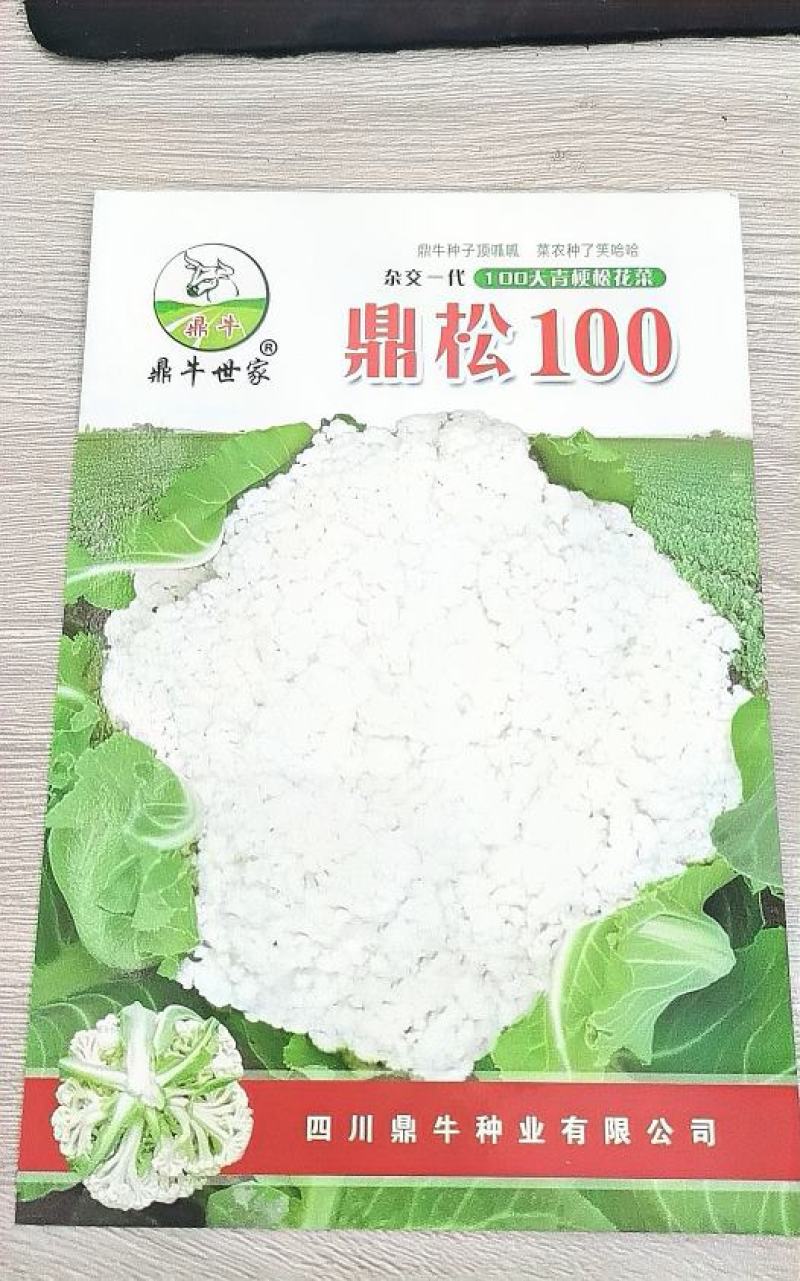 花菜种子鼎松100鼎牛种业青梗松花球大雪白囗感脆嫩