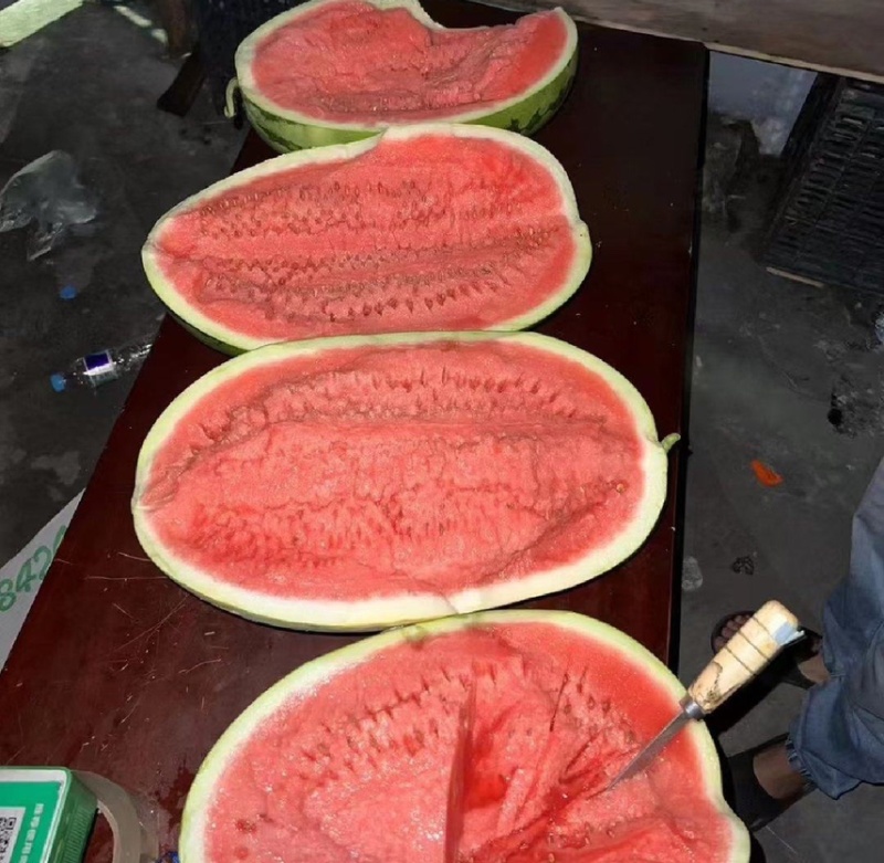 【推荐】宁夏硒砂瓜大量供应产地直发对接全国品质保证