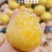 湖南文明黄金奈李恐龙蛋脱骨蜂糖李大量上市自家果园现摘现发