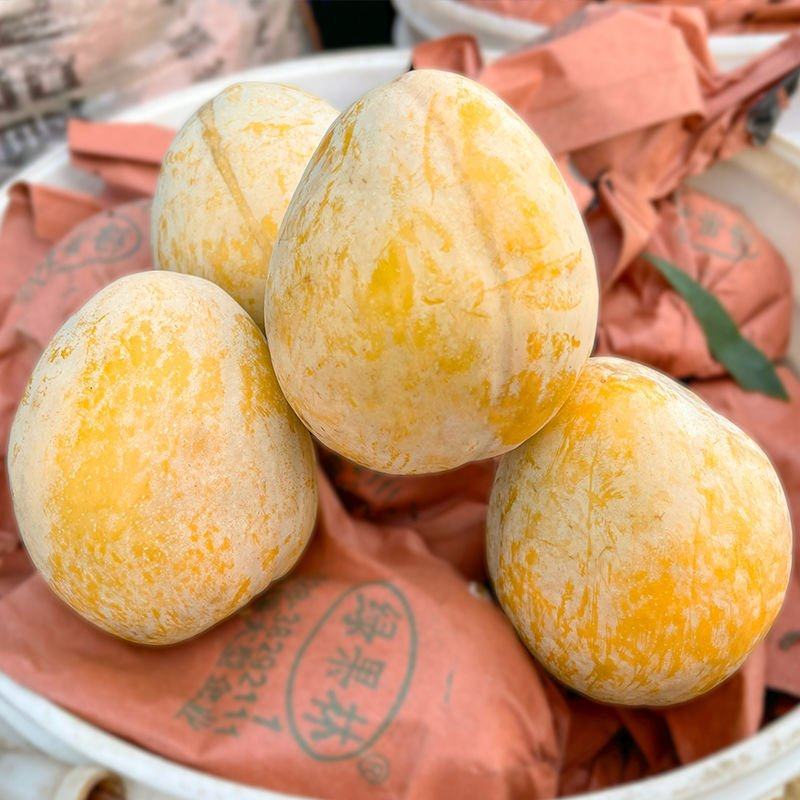 湖南文明黄金奈李恐龙蛋脱骨蜂糖李大量上市自家果园现摘现发