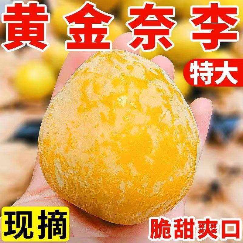 湖南文明黄金奈李恐龙蛋脱骨蜂糖李大量上市自家果园现摘现发