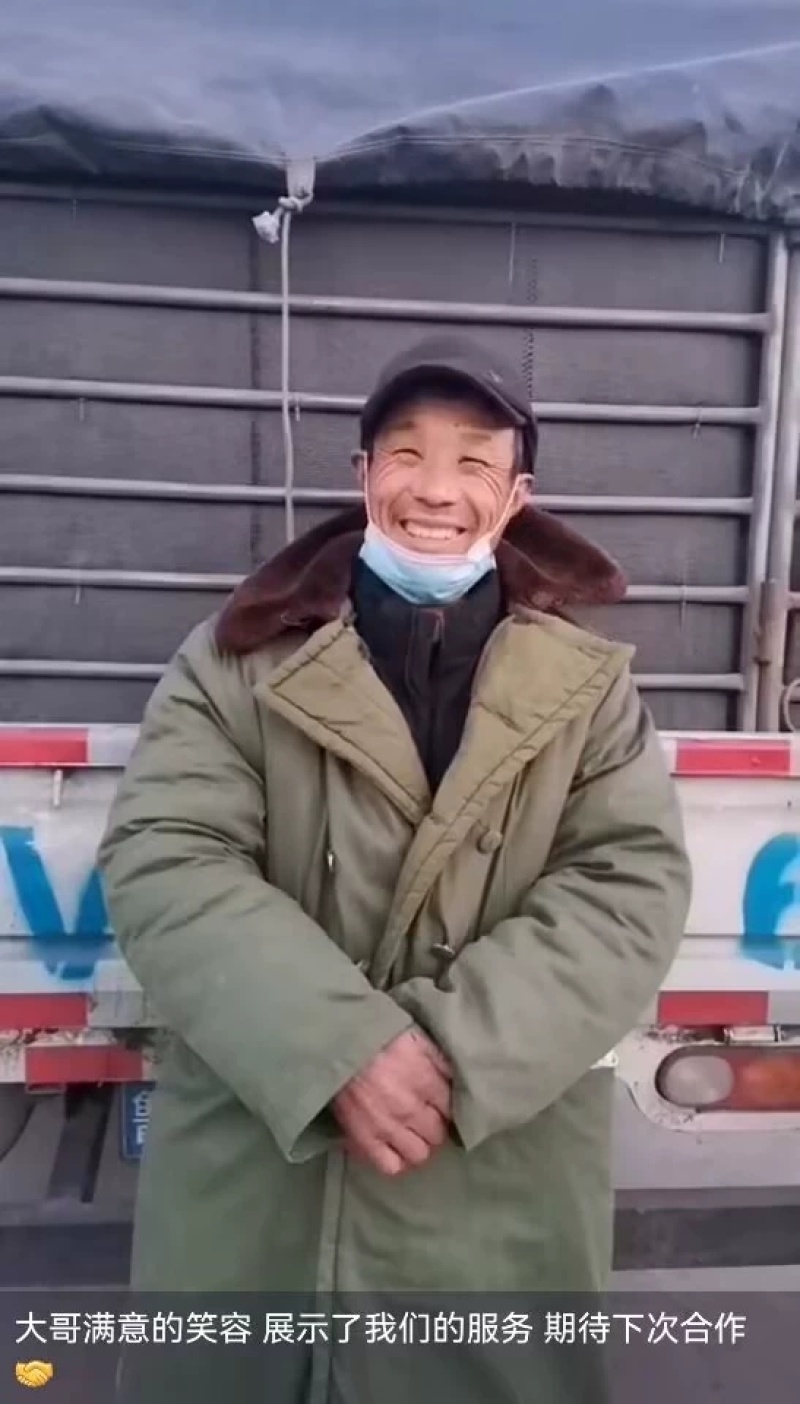 纯种西门塔尔肉牛两三个月大小牛犊母牛改良高产公母均有