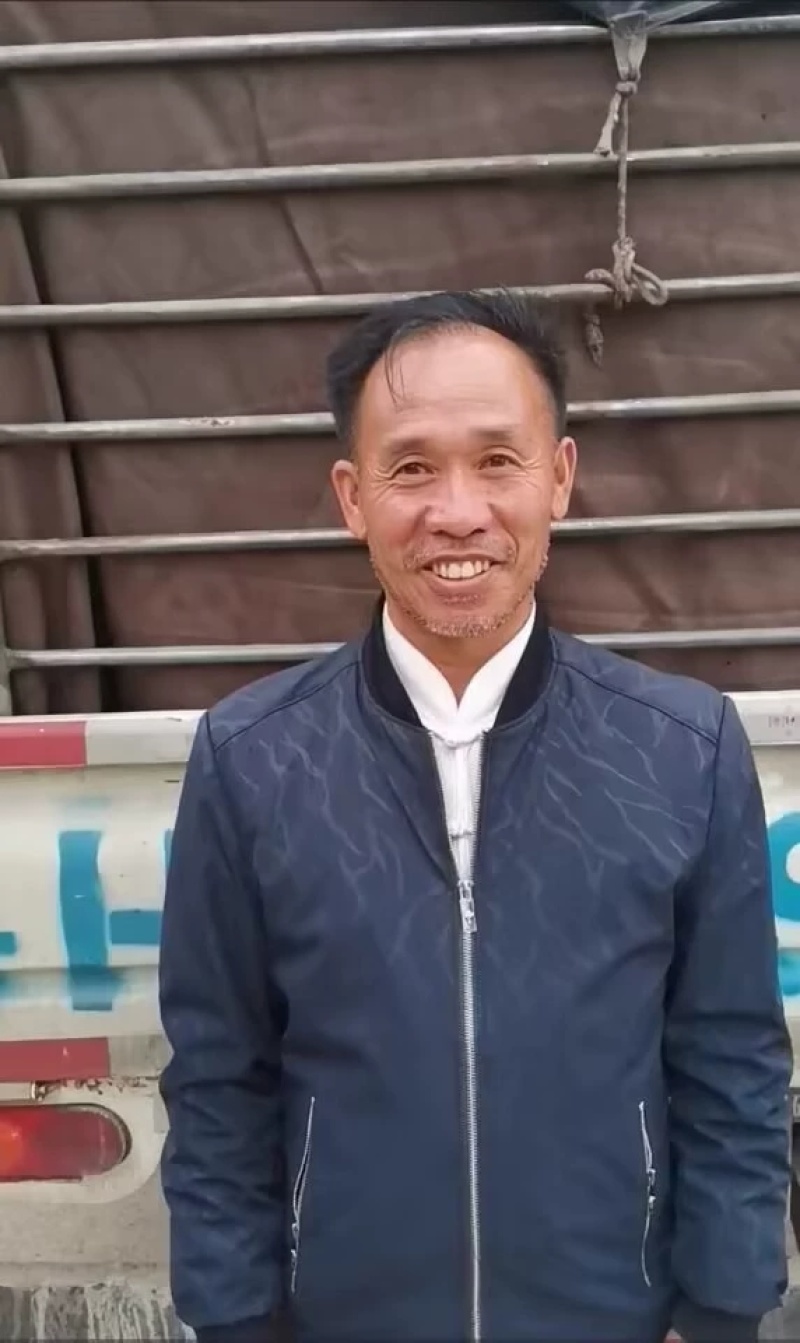 纯种西门塔尔肉牛两三个月大小牛犊母牛改良高产公母均有