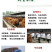 纯种西门塔尔肉牛两三个月大小牛犊母牛改良高产公母均有