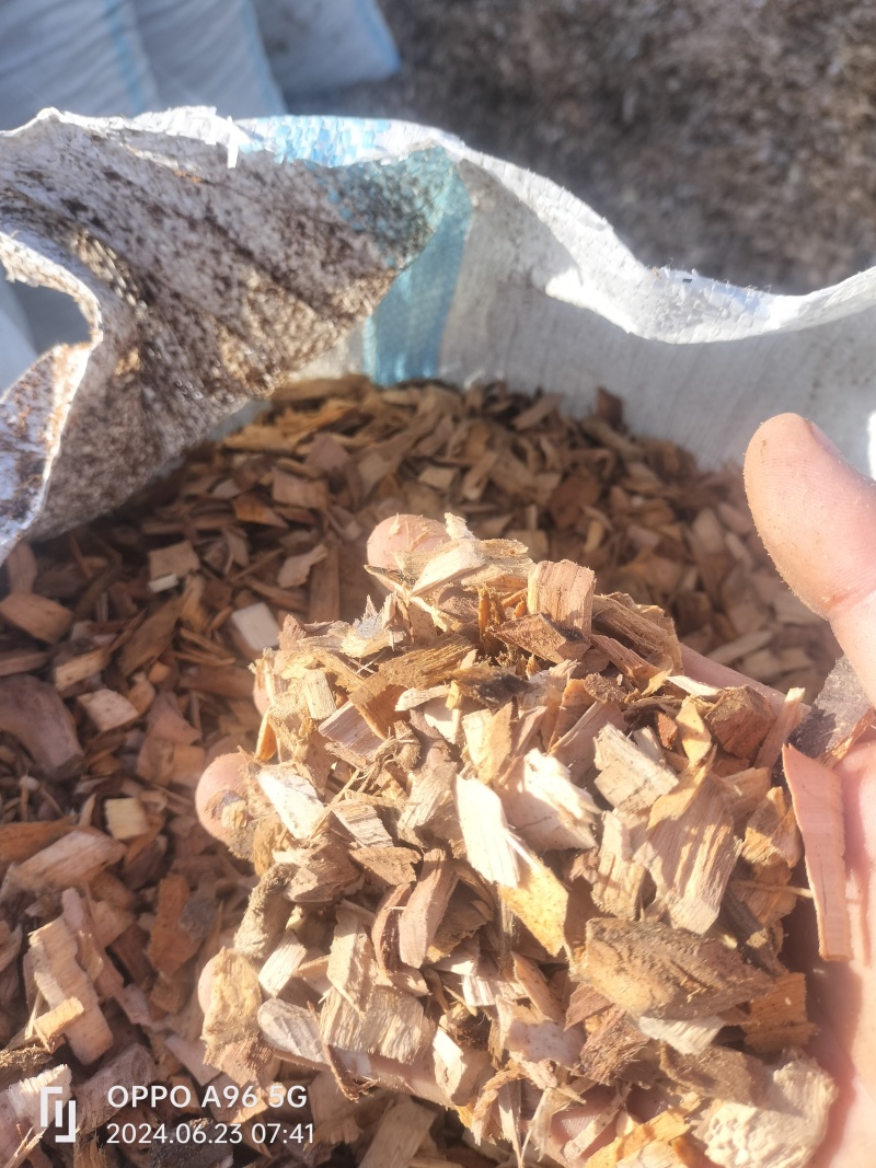 礼泉苹果树木屑，香菇，木耳食用菌原料，绝不含油性物质。
