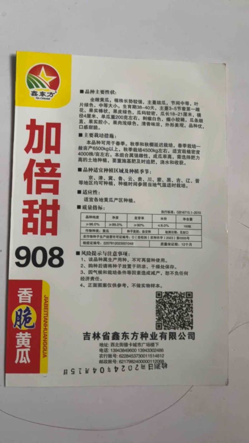加倍甜908水果黄瓜种子嘎嘎香，黑刺，强磁品种种子