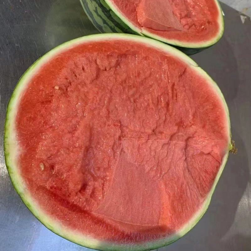 西瓜量大从优一件代发