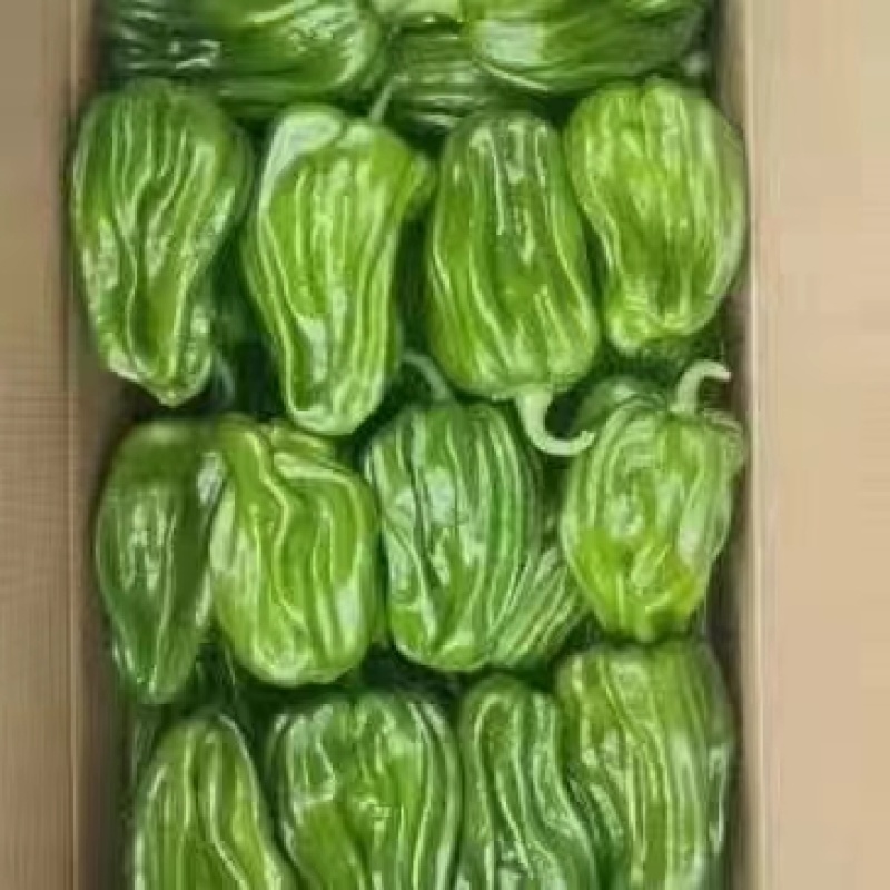 杭椒，牛椒，线椒，螺丝椒，小米椒，各种椒类