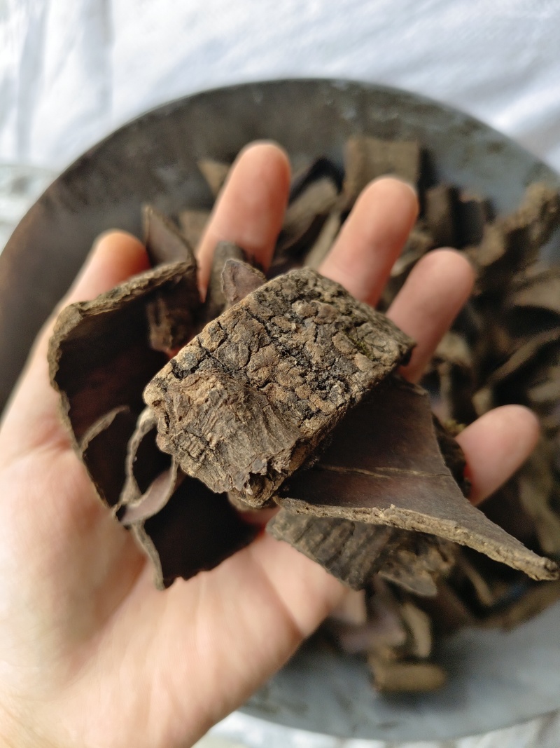 生杜仲，炒杜仲，去皮杜仲，产地一手货源【丹丹中药】