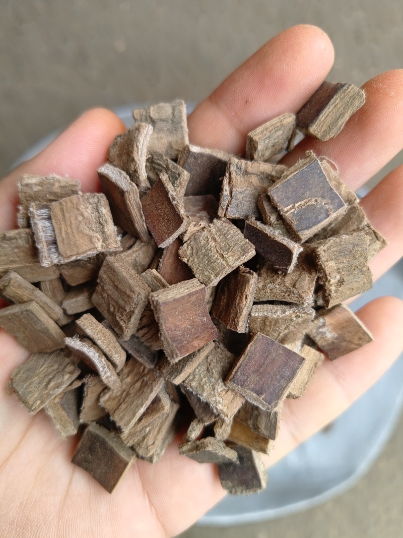 生杜仲，炒杜仲，去皮杜仲，产地一手货源【丹丹中药】