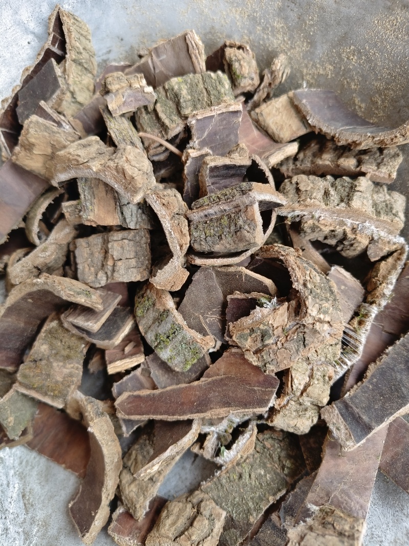 生杜仲，炒杜仲，去皮杜仲，产地一手货源【丹丹中药】