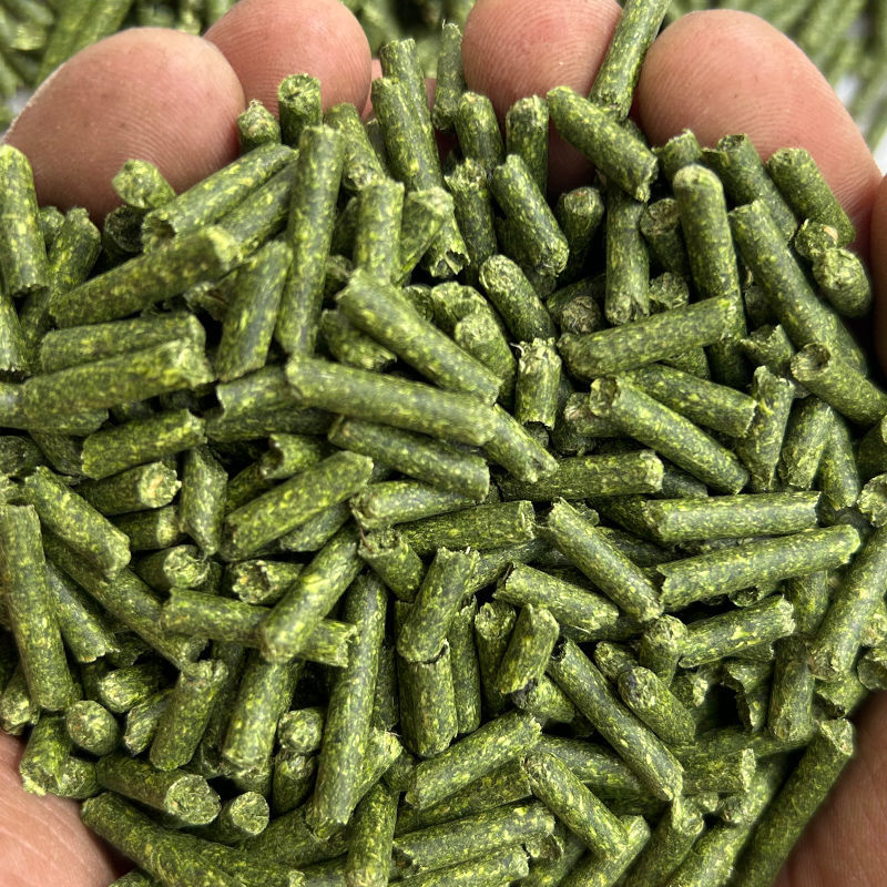 纯苜蓿草颗粒直径5mm牛羊马驴羊驼饲料支持批发零售