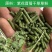 纯苜蓿草颗粒直径5mm牛羊马驴羊驼饲料支持批发零售