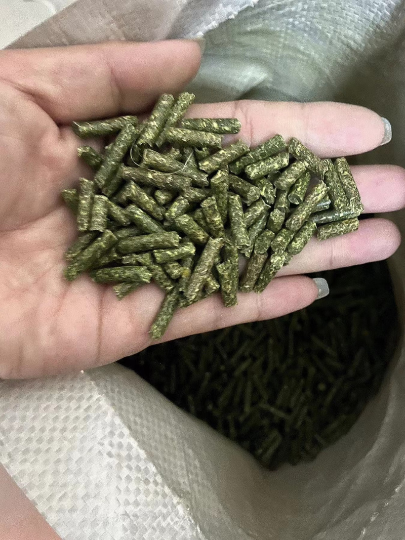 纯苜蓿草颗粒直径5mm牛羊马驴羊驼饲料支持批发零售