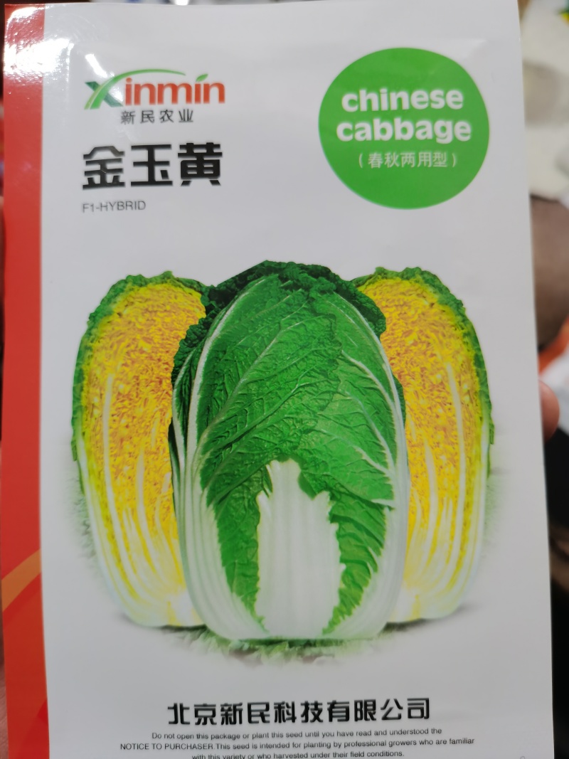 华耐042优绿娜耐热金玉黄优质娃娃白菜种子
