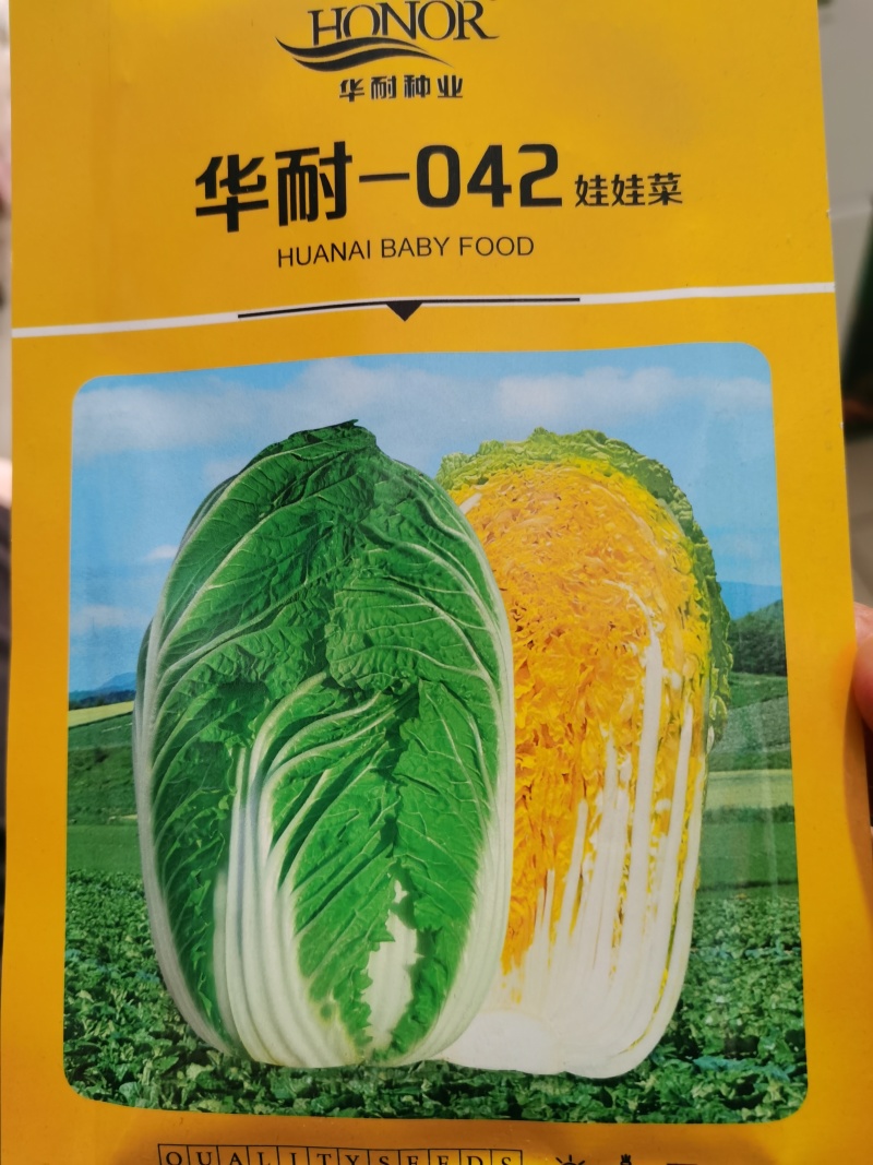华耐042优绿娜耐热金玉黄优质娃娃白菜种子