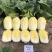华耐042优绿娜耐热金玉黄优质娃娃白菜种子