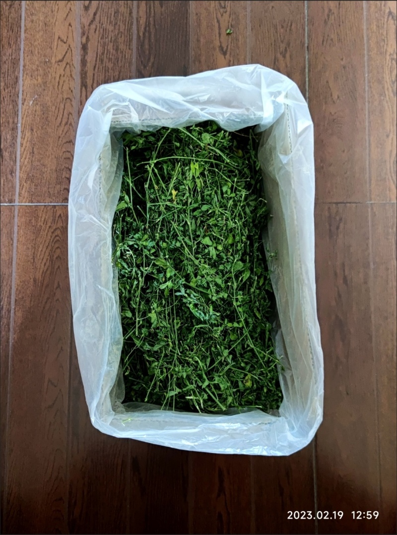 2024年精品烘干宠物苜蓿草有草杆纯苜蓿草叶子支持批发零