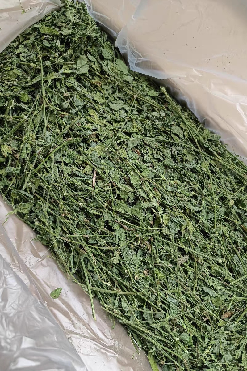 2024年精品烘干宠物苜蓿草有草杆纯苜蓿草叶子支持批发零